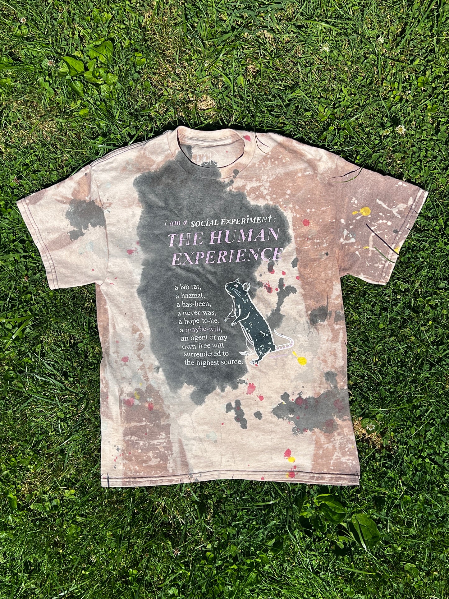 Social Experiment (Pre-Order)