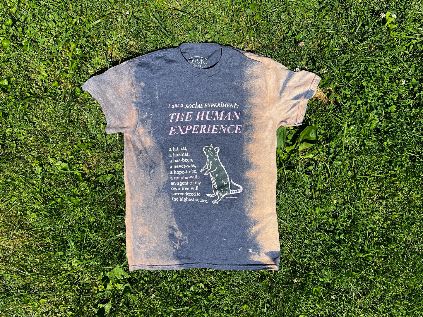 Social Experiment (Pre-Order)