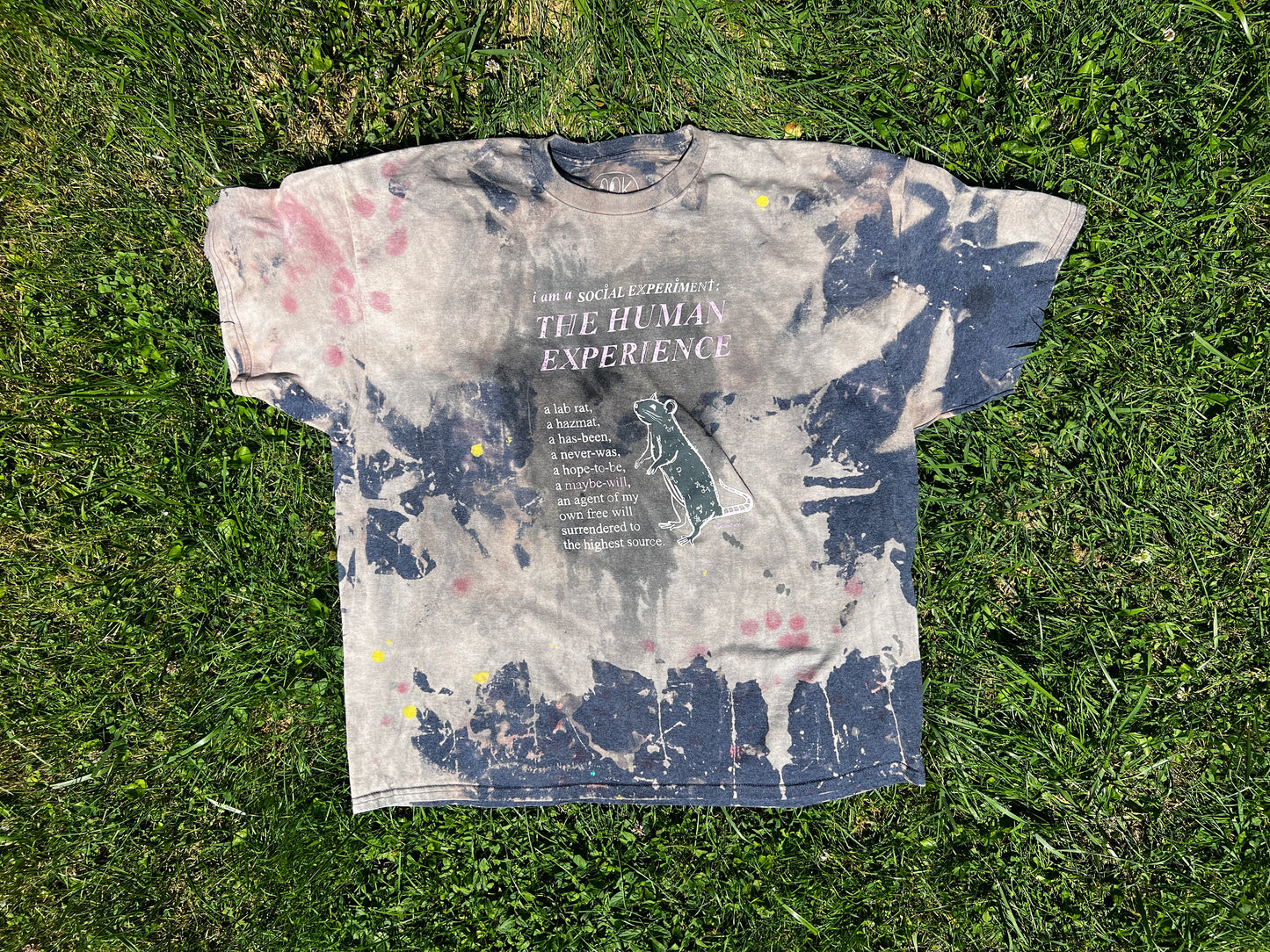 Social Experiment (Pre-Order)