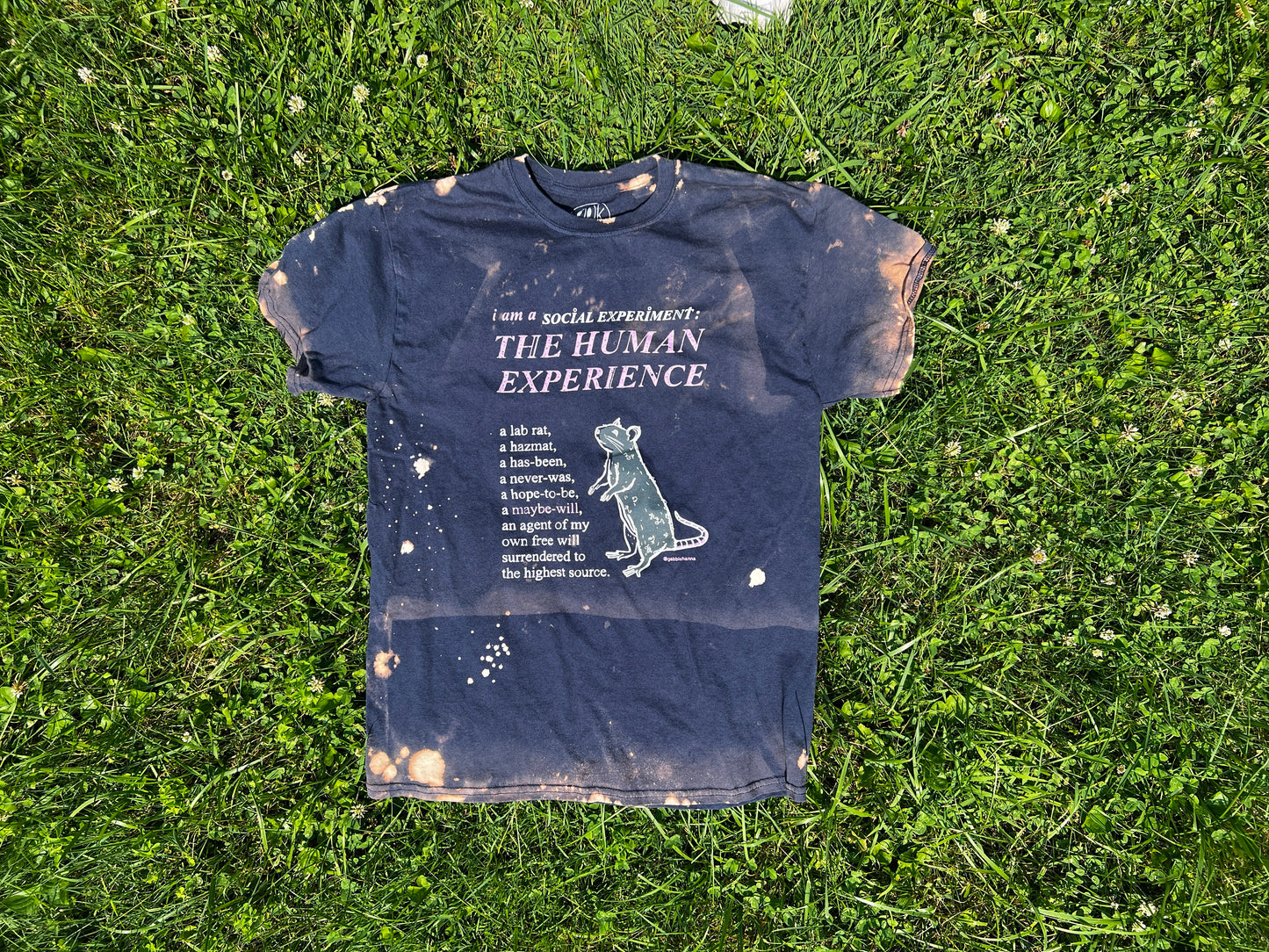 Social Experiment (Pre-Order)