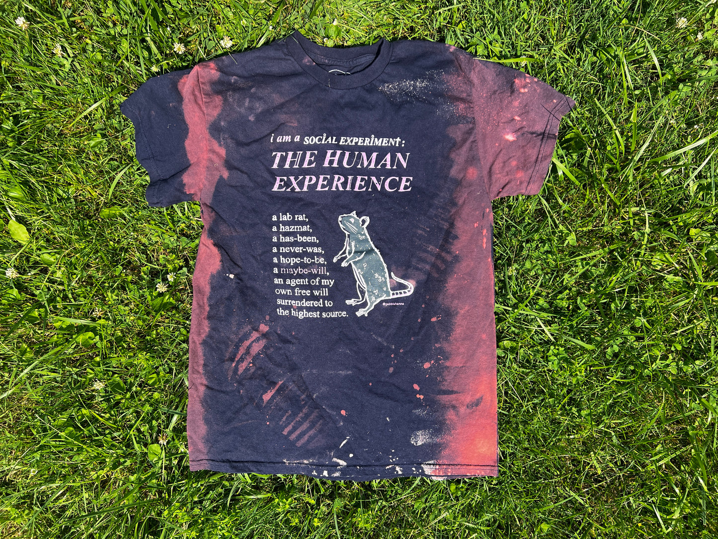 Social Experiment (Pre-Order)